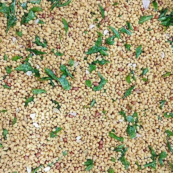 Savoury Boondi — pale fried boondi with coriander/curry leaves and peanuts